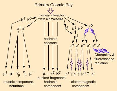 Promieniowanie kosmiczne oddziaływanie z atmosferą Cząstki tworzące promieniowanie kosmiczne