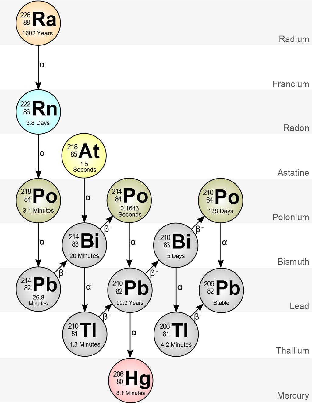 Radon i produkty jego rozpadu Krótkożyciowe (potencjalnie groźne) produkty rozpadu radonu; Organizm ludzki wydala pochłonięty radon (połowę w czasie kilkunastu minut), ale w organizmie pozostają