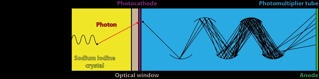 Liczniki scyntylacyjne HV Electronics Scyntylator kryształ przyklejony do fotopowielacza.