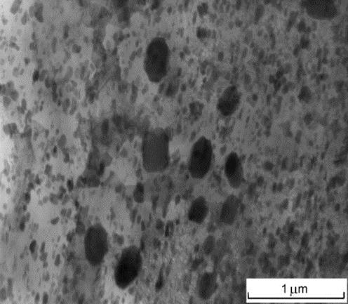Structure of RS Al-8%Fe-3%Mg alloys: (a) structure of longitudinal cross-section of RS Al-8%Fe-3%Mg rod with visible symmetry of star-shaped aluminum-iron precipitates, typical of 10-fold