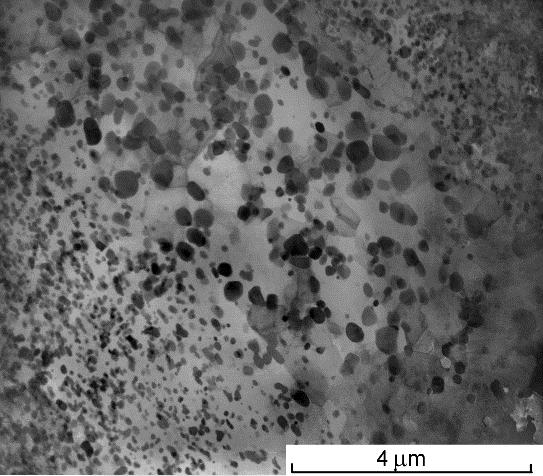 Mechanical and structural aspects of rapid solidification of selected aluminum alloys 51 żalnej zmiany kształtu wydzieleń proporcjonalnej do odkształcenia.