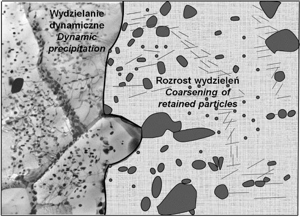 10-3 s -1, ε t 0,4): (a) obraz struktury (STEM) [14], (b) schemat obrazu struktury po wyżarzeniu 500 o C/30 min. i przesyceniu, (c) schemat struktury po starzeniu w czasie odkształcania Fig. 15.