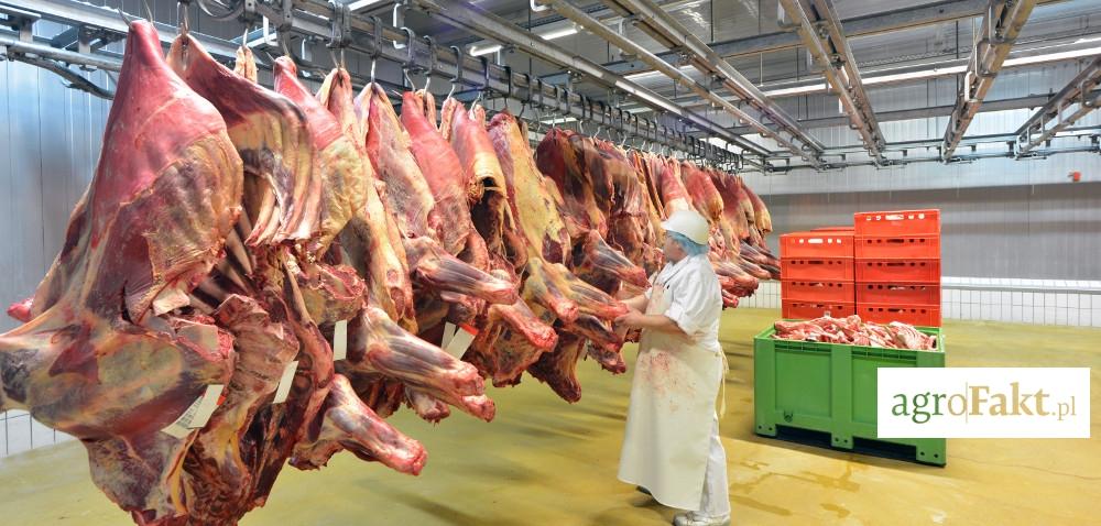 .pl https://www..pl Jakie będą ceny wołowiny? Jak wpływa na nie system QMP? Autor: Elżbieta Sulima Data: 2 marca 2017 Cena wołowiny z certyfikatem QMP jest zawsze wyższa.