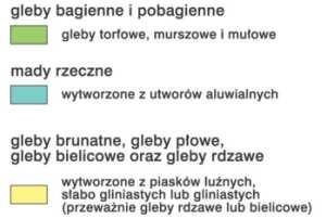Rys. nr 6 Rodzaje gleb. Na obszarze opracowania, nie występują gleby I, II lub III klasy bonitacyjnej.