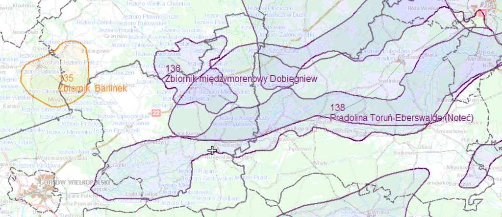 W zlewni Dopływu z Lipówki - JSWP nr: PLRW600017188928, znajduje się teren 4 i 6. Woda zakwalifikowana została jako potok nizinny piaszczysty, naturalna, niezagrożona, stan dobry.