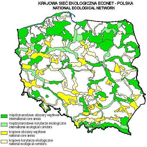 . Rys. 12. Krajowa siec ekologiczna ECNET Wszystkie tereny położone są w korytarzu ekologicznym w krajowym obszarze węzłowym.