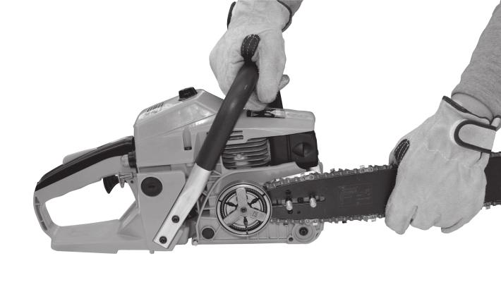 GI 19 3