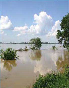 SPIS TREŚCI Przedmowa... 9 Meteorologiczne przyczyny powodzi w dorzeczu Wisły Synoptyczne uwarunkowania powodzi.