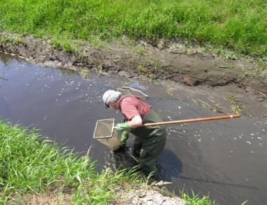 KLASYFIKACJA ELEMENTÓW PODSTAWOWYCH I WSPIERAJĄCYCH Elementy biologiczne i fizykochemiczne klasyfikuje się na podstawie kryteriów wyrażonych jako wartości graniczne