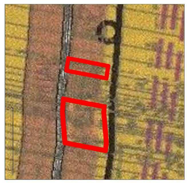 XLI/446/18