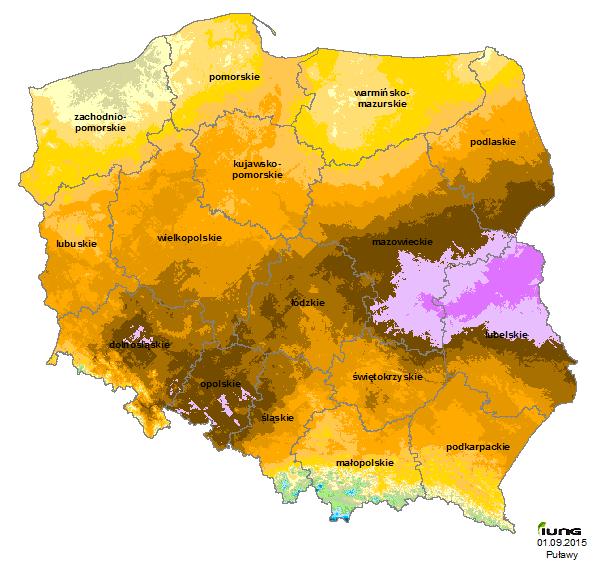 Wpływ zmian klimatu na Polskę upały