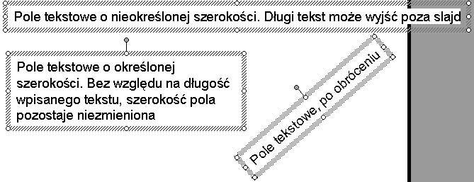 Rozdział 3. Edycja slajdów 51 Rysunek 3.41. Różne odmiany pól tekstowych wstawianych ręcznie slajd w miejscu, gdzie pole tekstowe ma zostać umieszczone.