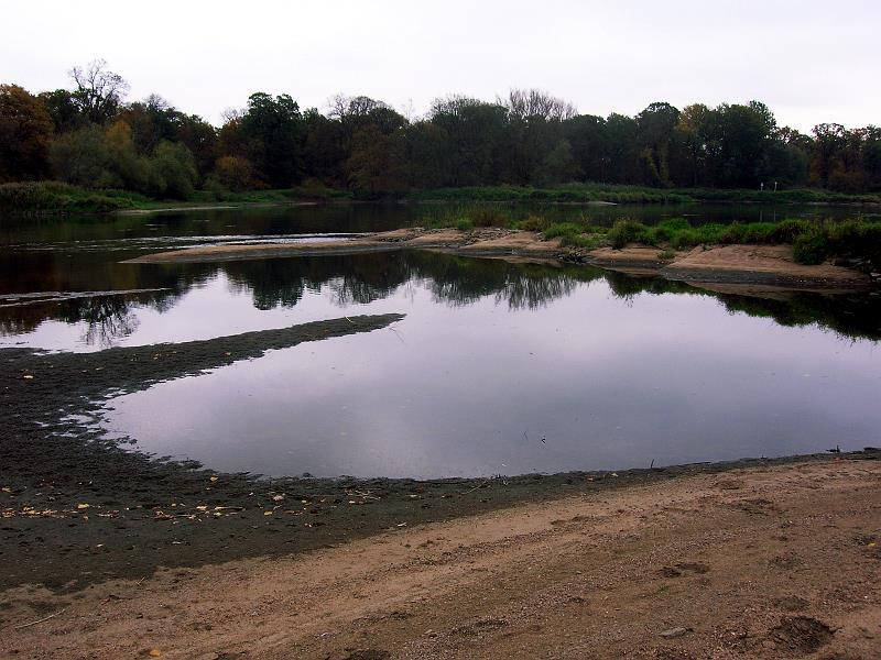 Obszar zainteresowań: HYDROBIOLOGIA i