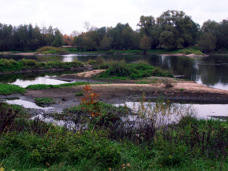 Ekologiczne uwarunkowania