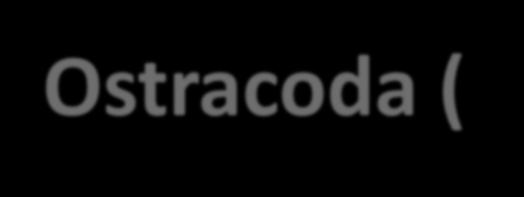 (Crustacea) w systemach