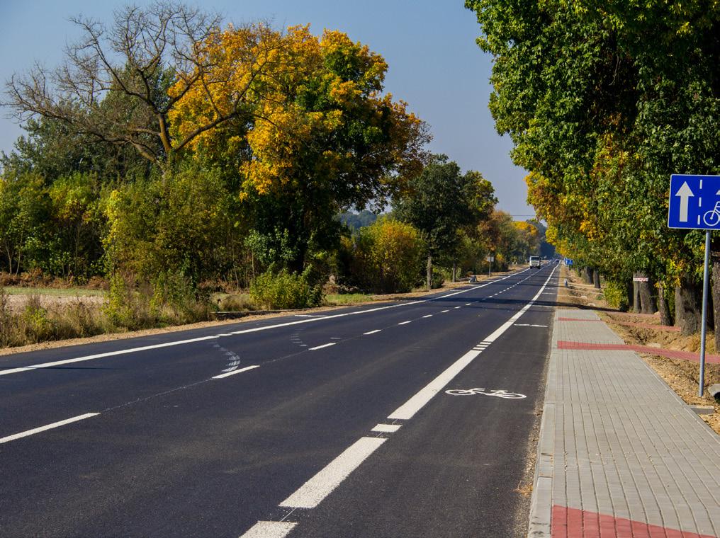 W ostatnich latach to kolejny wyremontowany odcinek ciągu komunikacyjnego prowadzącego z Lubartowa przez Kamionkę do Michowa.