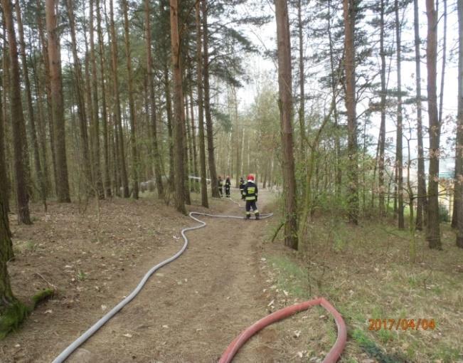 Doskonalenie zawodowe pożary lasów, traw i torfowisk W dniach 04-06.04.2017 r.