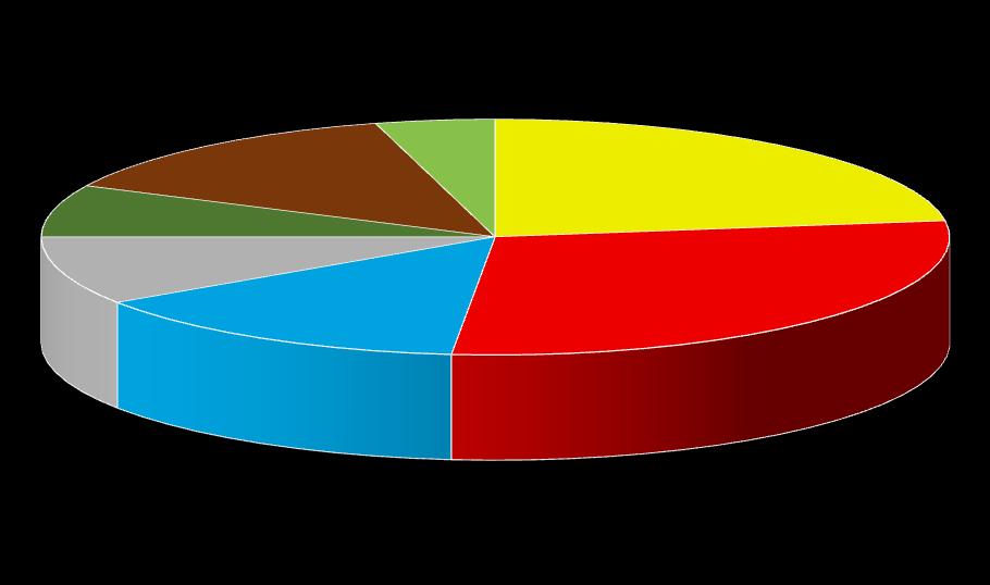 Procentowy udział jednostek ochrony przeciwpożarowej w 2017 roku według gmin przedstawia poniższy wykres: Lubasz 14% Połajewo 4% Czarnków 23% Drawsko 7% Krzyż