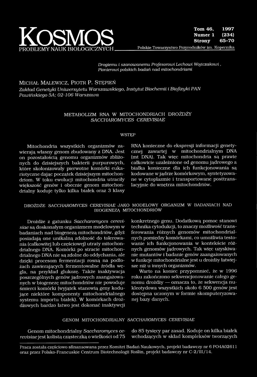 STĘPIEŃ Zakład Genetyki Uniwersytetu Warszawskiego, Instytut Biochemii i Biofizyki PAN Pawińskiego 5A; 02-106 Warszawa METABOLIZM RNA W MITOCHONDRIACH DROŻDŻY SACCHAROMYCES CEREVISIAE WSTĘP