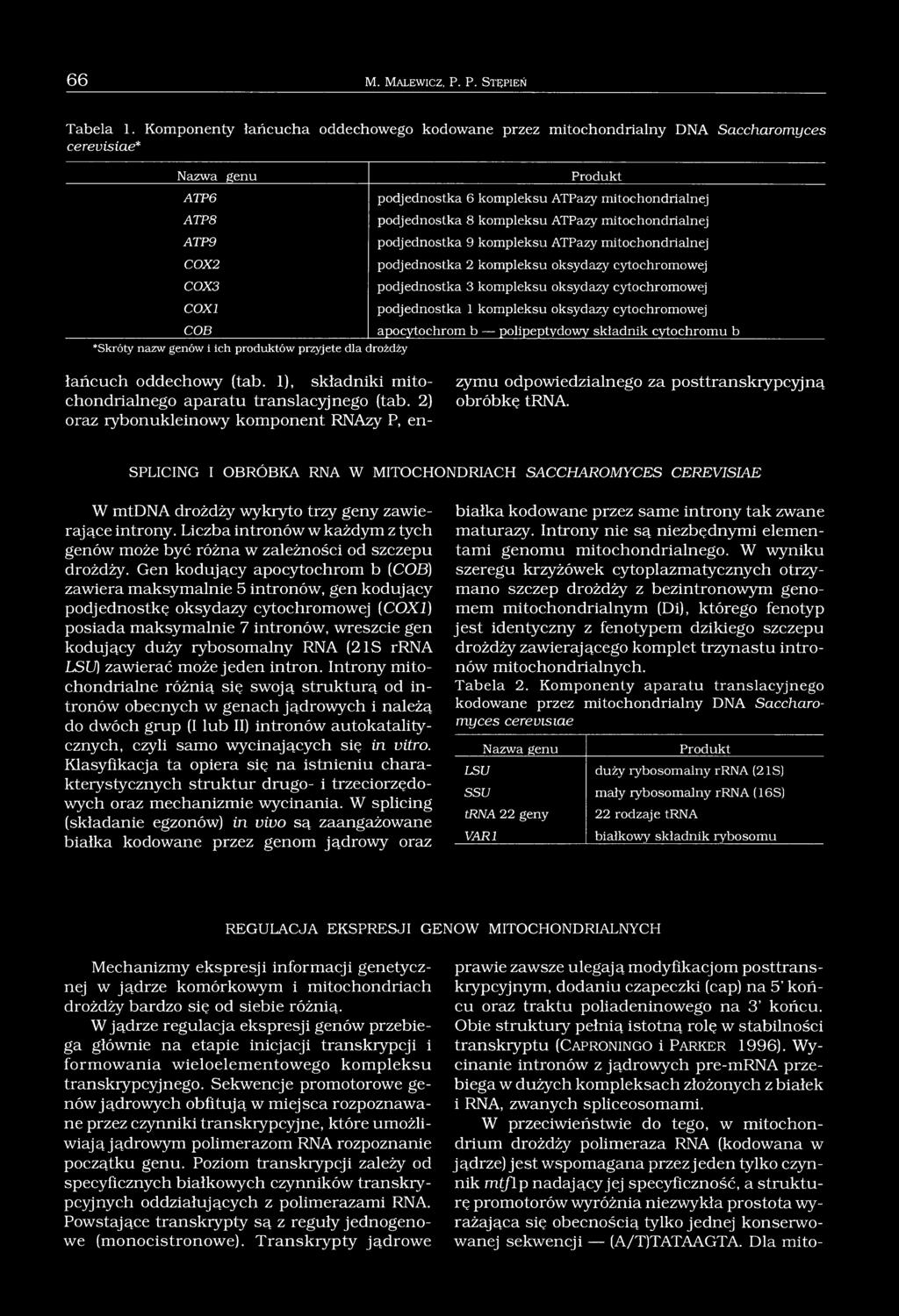 Produkt podjednostka 6 kompleksu ATPazy mitochondrialnej podjednostka 8 kompleksu ATPazy mitochondrialnej podjednostka 9 kompleksu ATPazy mitochondrialnej podjednostka 2 kompleksu oksydazy