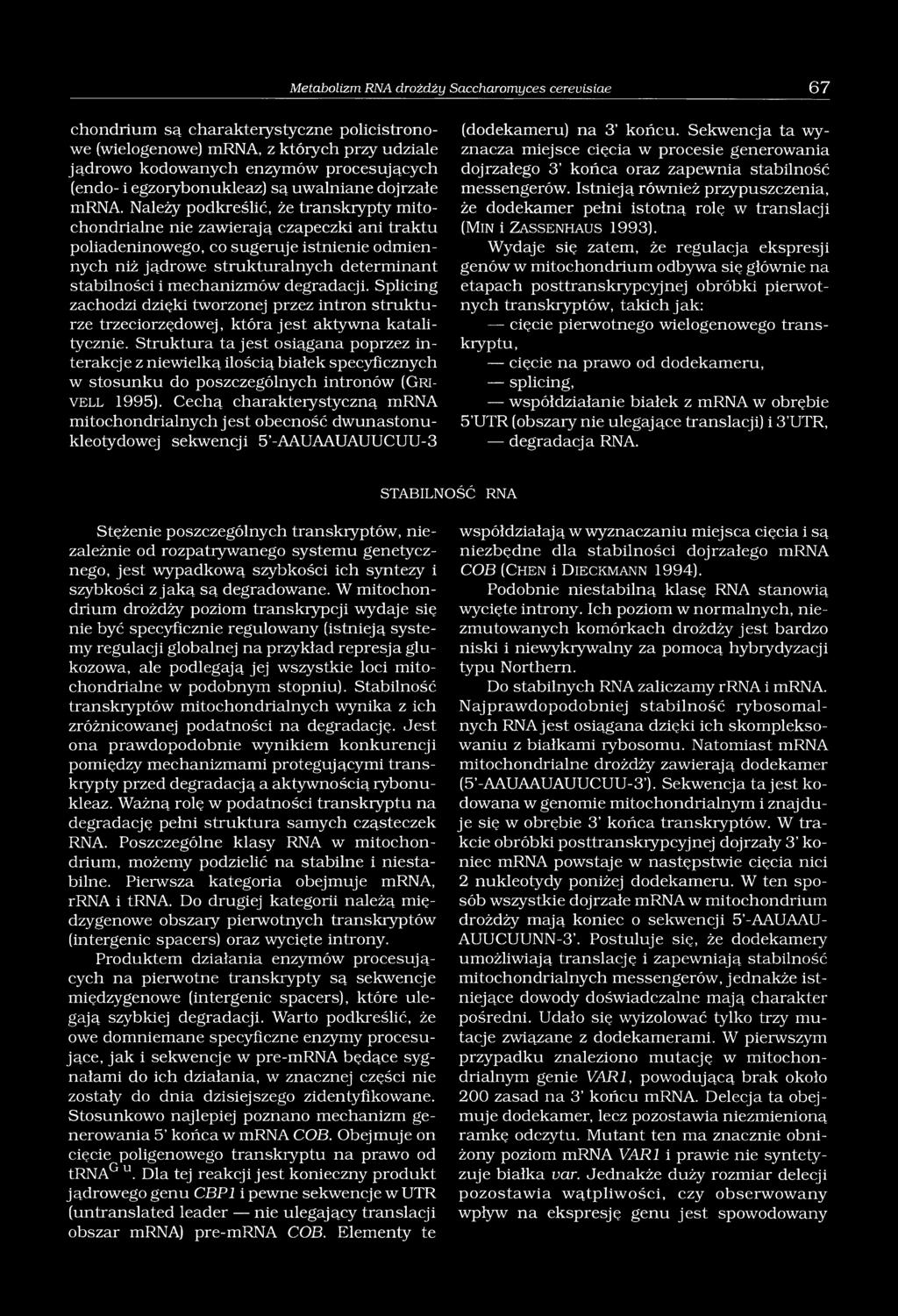 Należy podkreślić, że transkrypty mitochondrialne nie zawierają czapeczki ani traktu poliadeninowego, co sugeruje istnienie odmiennych niż jądrowe strukturalnych determinant stabilności i mechanizmów