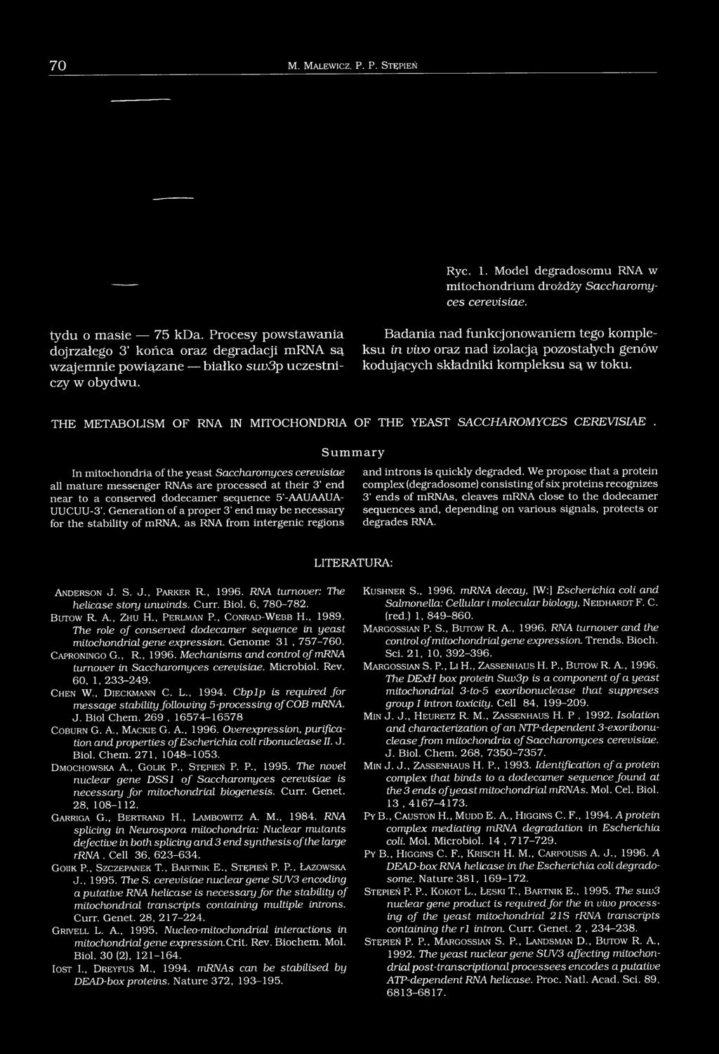 Badania nad funkcjonowaniem tego kompleksu in vivo oraz nad izolacją pozostałych genów kodujących składniki kompleksu są w toku.