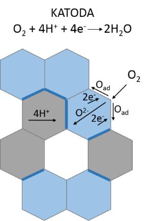 operation, it has been proposed to replace the oxygen-conducting electrolyte with one that exhibits proton conductivity.