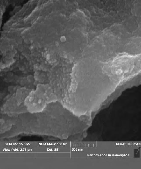 Microphotographs of the P14 sample fired at 600 C in