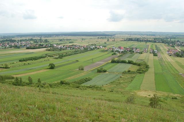 Ekosystem rolny