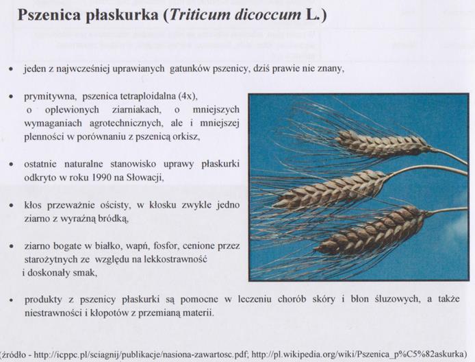 Projekt rolnictwa ekologicznego,