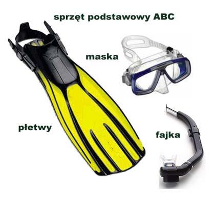 Strona 23 Sprzęt ABC (płetwy, półmaska nurkowa, fajka) Zdj. 7 Sprzęt podstawowy ABC Źródło: http://www.nopex.com.