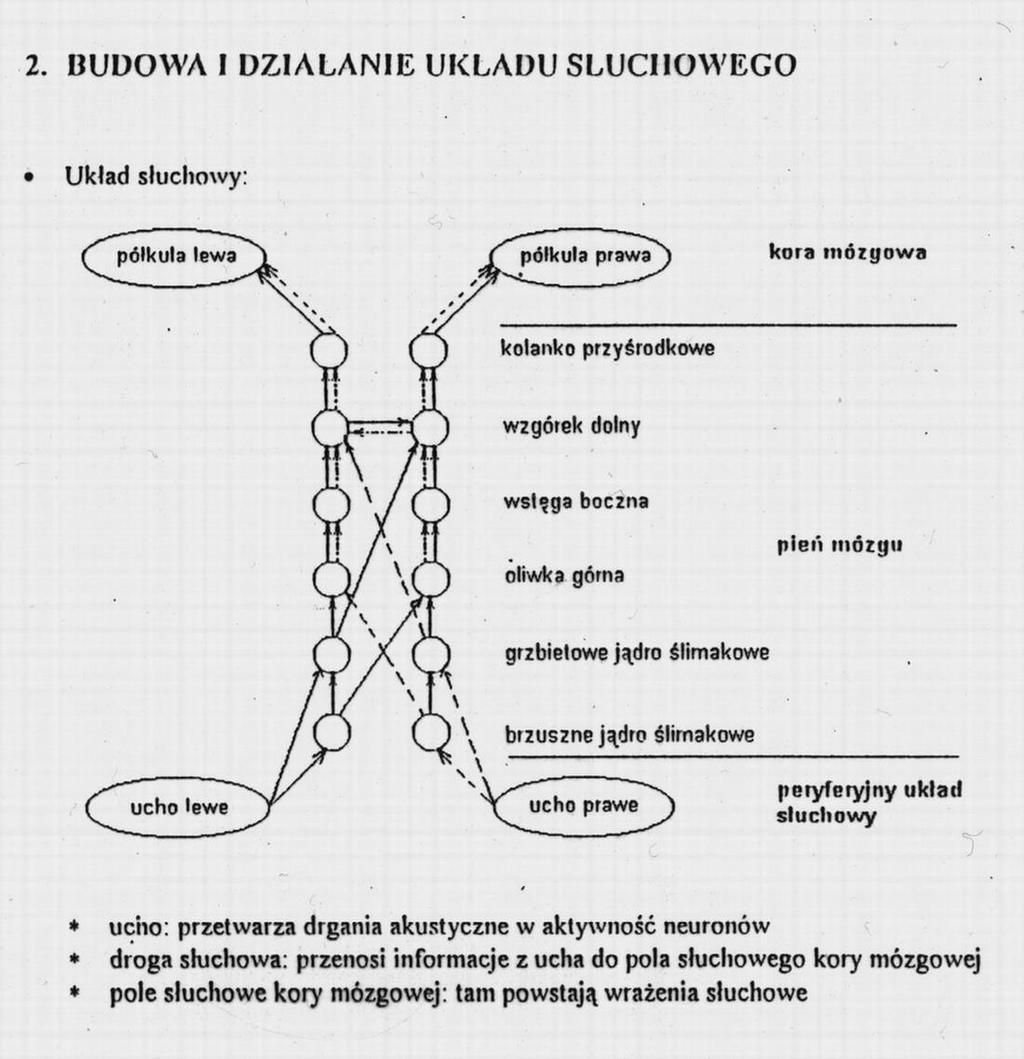 Źródło: prezentacja J.