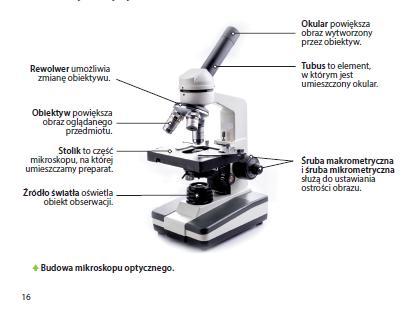 Dział I Organizacja i chemizm życia 4) dokonuje obserwacji mikroskopowych komórki (podstawowej jednostki życia),