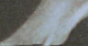 ^ 51072104611 J'-'i 21 1931 Sep 14