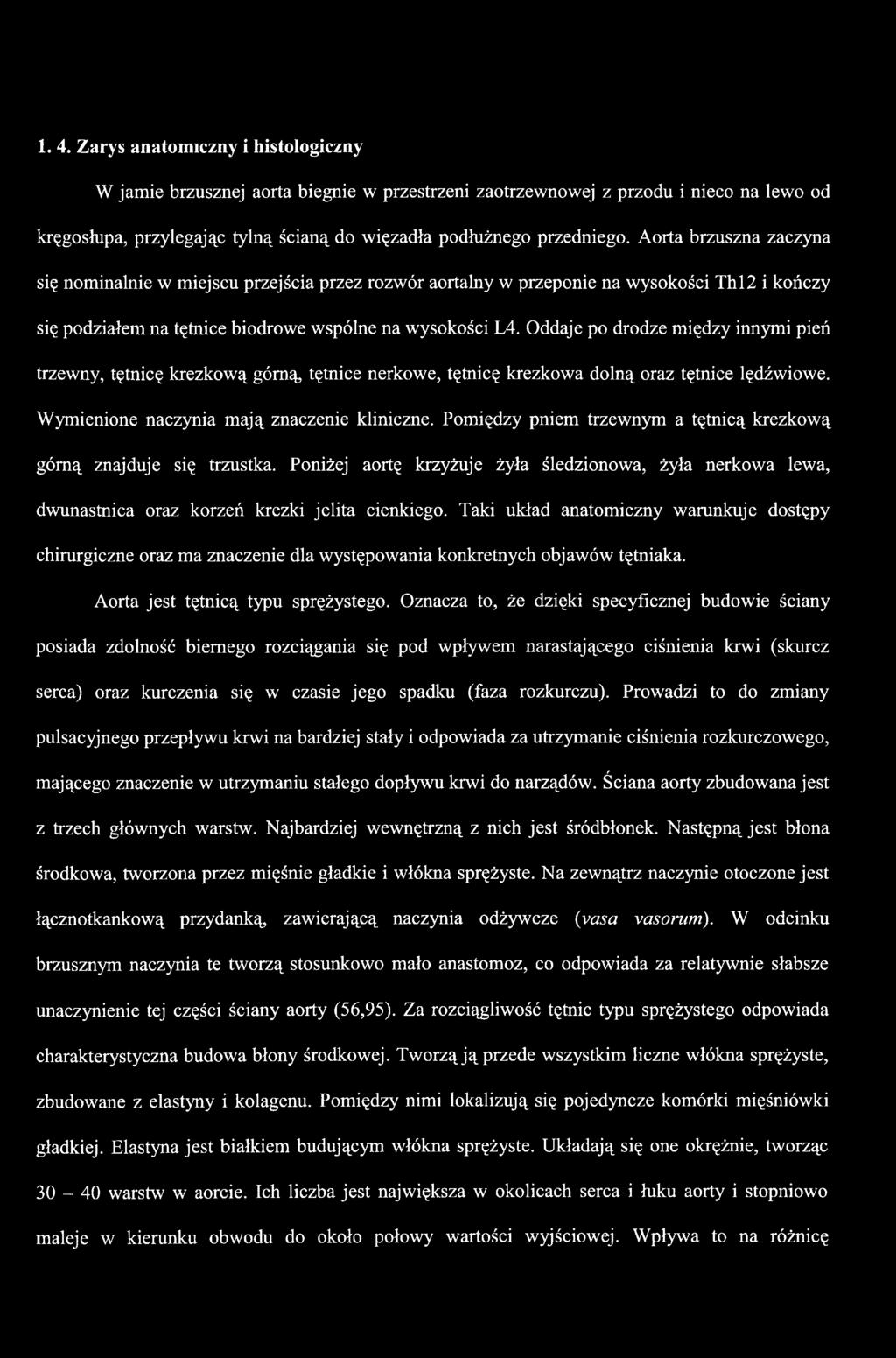 Taki układ anatomiczny warunkuje dostępy chirurgiczne oraz ma znaczenie dla występowania konkretnych objawów tętniaka. Aorta jest tętnicą typu sprężystego.