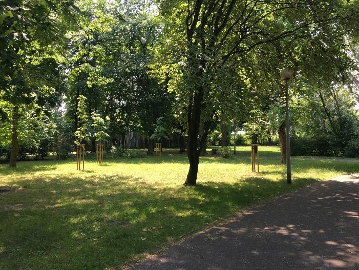 Jaki park