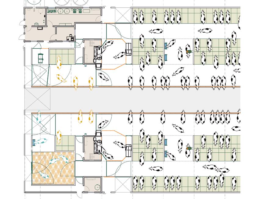 Produkcyjność o każdej porze 21 B C A K H D L L G1 G2 J J I I E D H F K A B - Milk room C - Technical equipment room D - Selection and