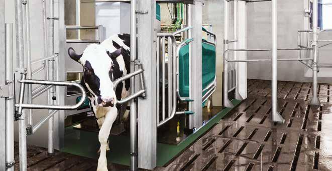 Pre-selection J - Selection after milking K - Barn area L - Supply Unit Oszczędność czasu i wolna przestrzeń umożliwiają elastyczny plan dnia i