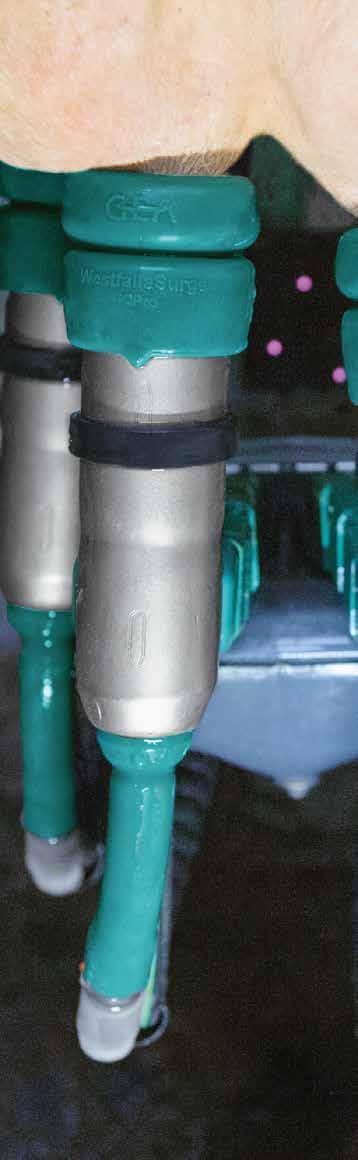 in-liner, inside the teat cup in one single attachment.