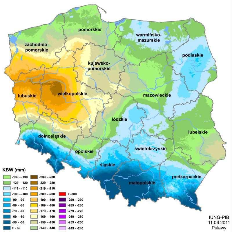 Efekty szkodliwego działania soli sól i solanka Toksyczny wpływ soli widoczny jest szczególnie w okresach suszy, co w warunkach stepowiejącej