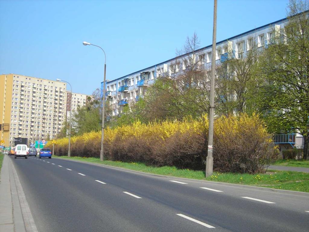 Efekty szkodliwego
