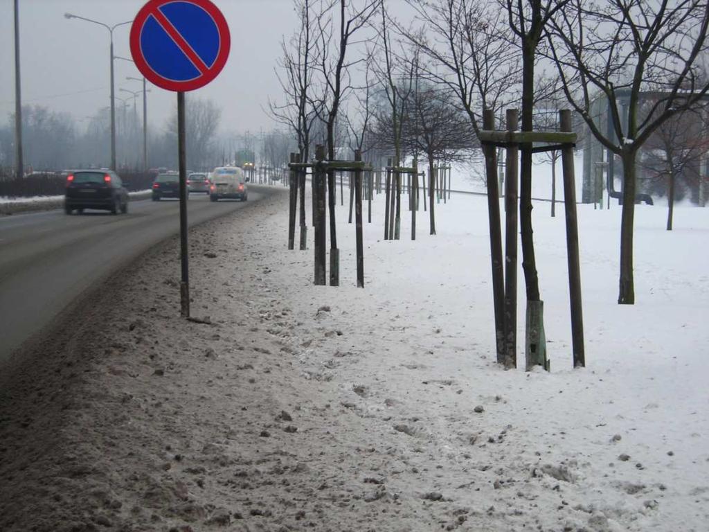 zasolonego błota