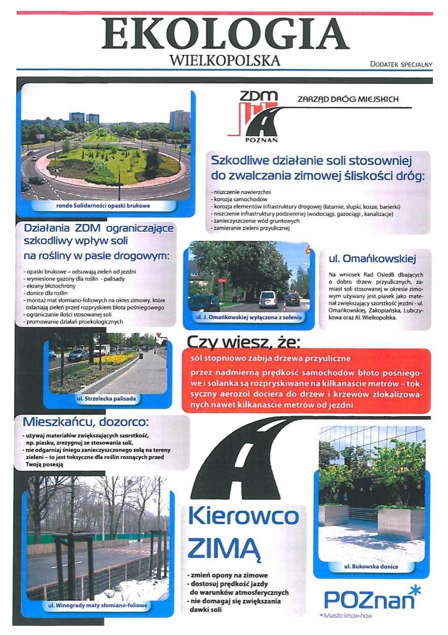Jak wygrać z solą walkę o zieleń?
