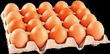 HOLTEX 100g 14,90 zł/kg 7