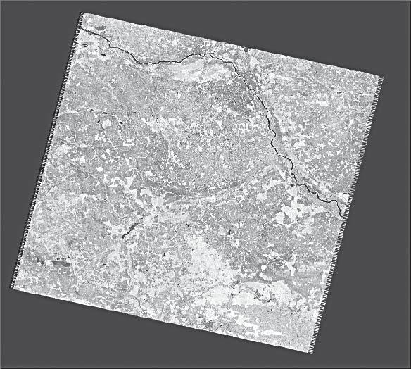 18 Monika Tomaszewska, Stanisław Lewiński, Edyta Woźniak Ryc. 6. Obraz wartości NDVI uzyskanych na podstawie zdjęcia Landsat TM. Fig. 6. NDVI image obtained from Landsat TM.