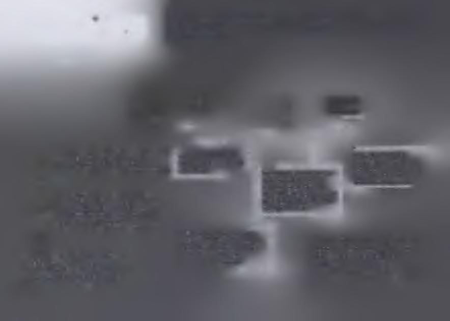D A R S T W A P R Z E D W IR U S E M W Y S O C E Z J A D L IW E J G R Y P Y P T A K Ó W (H P A I) I