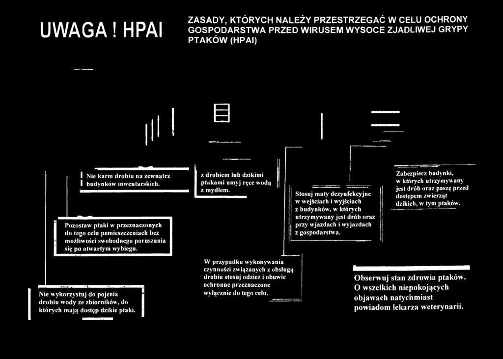 Pozostaw ptaki w przeznaczonych do tego celu pomieszczeniach bez możliwości swobodnego poruszania się