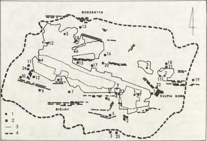 barbipes (D ahlb.) 1 95 C. megacephalus (Rossi) 1, 7, 11 1, 2, 11, 17, 18 96 C. nigritus (L ep. et Brulle) L 7 97 C. leucostomus (L.) 1, 12 98 C. cetratus (Sh u c k.
