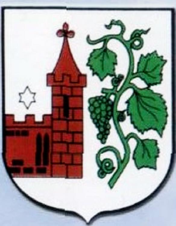 GMINA WIŃSKO GMINNY PROGRAM GOSPODARKI