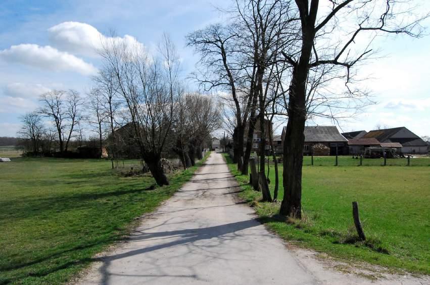 LOKALIZACJA - 5. Przy stawie rybnym Nr punktu Odległość drzew od osi Odległość drzew od krawędzi Gatunek - liczba drzew Występowanie ciekawych Start: 50.404933,20.712554, koniec:50.